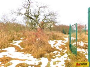 Prodej zahrady, Znojmo, 609 m2