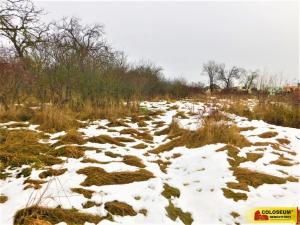 Prodej zahrady, Znojmo, 609 m2