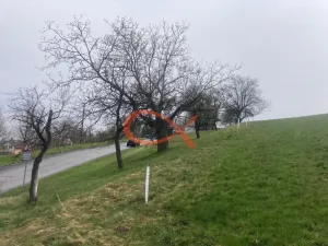 Prodej pozemku pro bydlení, Háj ve Slezsku, 9208 m2