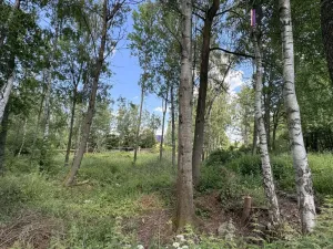 Prodej pozemku, Karlovy Vary - Hůrky, K Letišti, 3000 m2