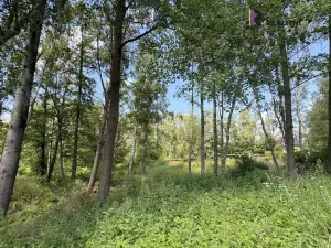 Prodej pozemku, Karlovy Vary - Hůrky, K Letišti, 3000 m2