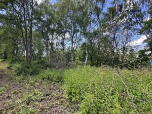 Prodej pozemku, Karlovy Vary - Hůrky, K Letišti, 3000 m2