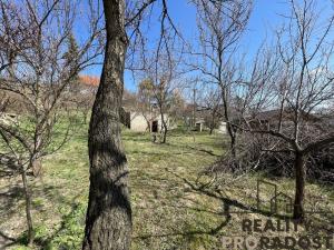 Prodej vinného sklepa, Valtice, 60 m2