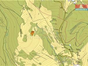 Prodej trvalého travního porostu, Trutnov, 28206 m2