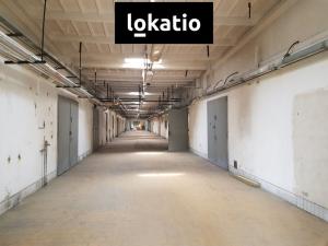 Pronájem skladu, Olomouc, Hamerská, 3000 m2