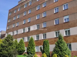 Prodej ubytování, Mariánské Lázně, Tyršova, 12205 m2