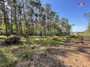 Prodej lesa, Boršov nad Vltavou, 6271 m2