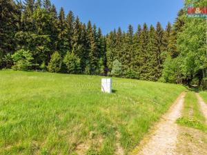 Prodej pozemku pro bydlení, Orlické Záhoří, 2489 m2