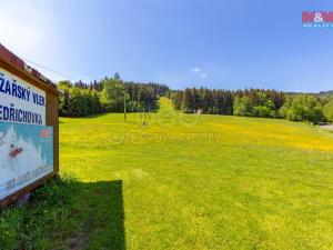 Prodej pozemku pro bydlení, Orlické Záhoří, 2489 m2