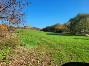 Prodej louky, Broumov, 52559 m2