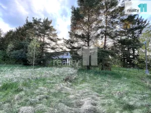 Prodej skladu, Havlíčkův Brod, Humpolecká, 1601 m2