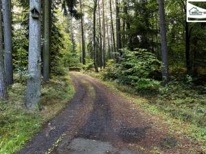 Prodej rodinného domu, Plesná, Sokolská, 500 m2