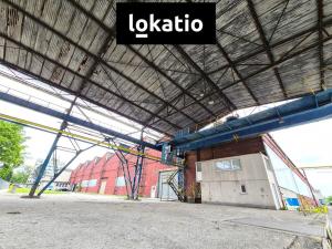 Pronájem výrobních prostor, Ostrava, Lihovarská, 7200 m2