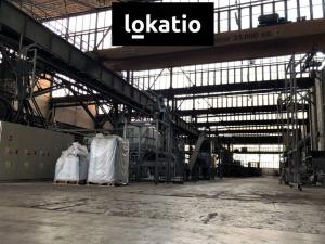 Pronájem výrobních prostor, Ostrava, Lihovarská, 7200 m2