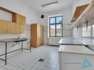 Prodej vily, Trutnov, Růžová cesta, 350 m2