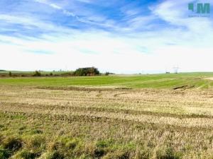 Prodej pozemku pro komerční výstavbu, Želetava - Šašovice, 1354 m2