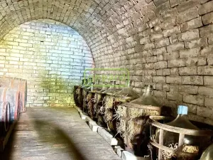 Prodej vinného sklepa, Jaroslavice, 31 m2