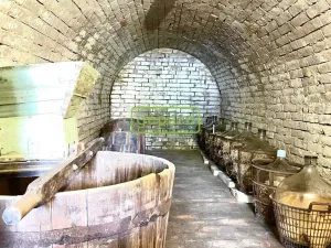 Prodej vinného sklepa, Jaroslavice, 31 m2