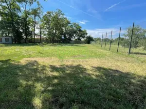 Prodej vinného sklepa, Jaroslavice, 31 m2