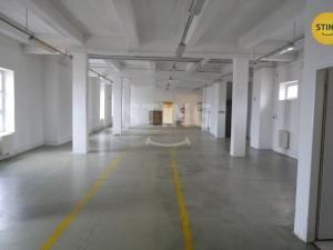 Pronájem výrobních prostor, Opava, Rybářská, 694 m2