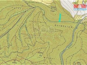 Prodej lesa, Vranová Lhota, 2021 m2