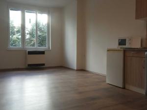 Pronájem bytu 1+kk, Praha - Holešovice, Jankovcova, 34 m2