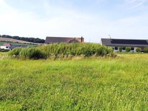 Prodej pozemku pro bydlení, Beňov, 5182 m2