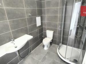 Prodej bytu 2+kk, Teplice, Vrchlického, 51 m2