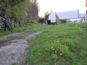 Prodej pozemku pro bydlení, Domašov nad Bystřicí, 11569 m2