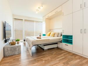 Pronájem bytu 1+kk, České Budějovice - České Budějovice 2, Husova tř., 38 m2