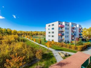 Pronájem bytu 1+kk, České Budějovice - České Budějovice 2, Husova tř., 38 m2