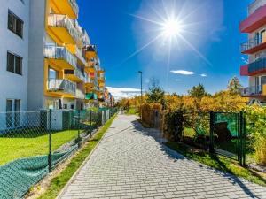 Pronájem bytu 1+kk, České Budějovice - České Budějovice 2, Husova tř., 38 m2