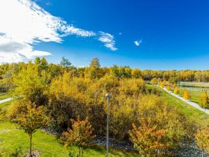 Pronájem bytu 1+kk, České Budějovice - České Budějovice 2, Husova tř., 38 m2