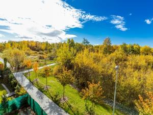 Pronájem bytu 1+kk, České Budějovice - České Budějovice 2, Husova tř., 38 m2