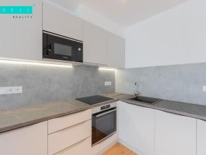 Pronájem bytu 1+kk, Olomouc, Wittgensteinova, 33 m2