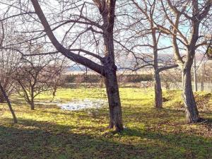 Prodej rodinného domu, Vysoká, 230 m2