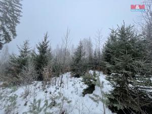 Prodej lesa, Pecka, 10412 m2