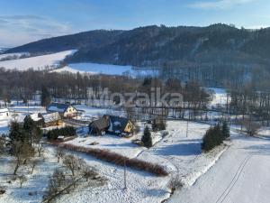 Prodej zemědělské usedlosti, Červená Voda - Mlýnický Dvůr, 3975 m2