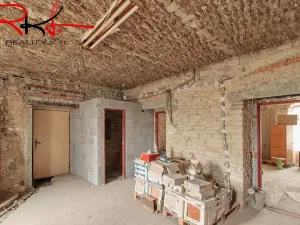 Prodej bytu 3+1, Židovice, 160 m2