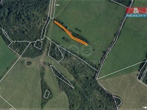 Prodej trvalého travního porostu, Mašťov, 1385 m2