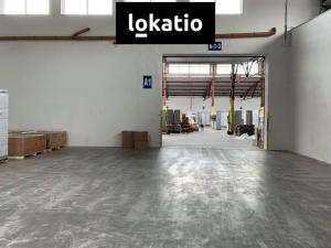 Pronájem skladu, Čelákovice, 10000 m2