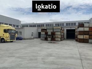 Pronájem skladu, Čelákovice, 10000 m2