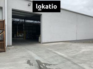 Pronájem skladu, Čelákovice, 10000 m2