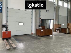 Pronájem skladu, Čelákovice, 10000 m2