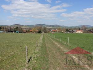 Prodej pozemku pro bydlení, Janovice nad Úhlavou, 11860 m2