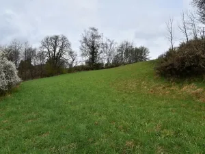 Prodej pozemku pro bydlení, Vyšší Brod, Lidická, 2155 m2