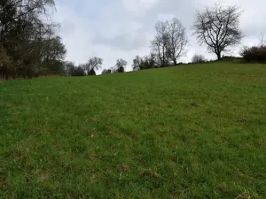 Prodej pozemku pro bydlení, Vyšší Brod, Lidická, 2155 m2