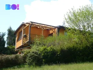 Prodej chaty, Zábřeh - Dolní Bušínov, 55 m2