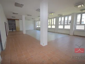 Pronájem výrobních prostor, Pelhřimov, Pražská, 665 m2