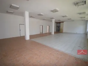 Pronájem výrobních prostor, Pelhřimov, Pražská, 665 m2